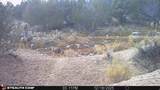 123 Tbd Forest Service Rd 640A (S - Photo 15