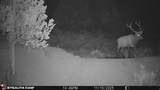 123 Tbd Forest Service Rd 640A (S - Photo 16