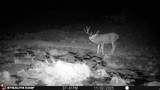123 Tbd Forest Service Rd 640A (S - Photo 9