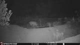 123 Tbd Forest Service Rd 640A (S - Photo 10