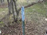 216 Whispering - Photo 11