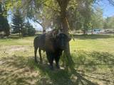 50 400 - Photo 23
