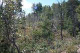 2481 Forest Meadow Rd - Photo 3