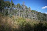 2481 Forest Meadow Rd - Photo 4