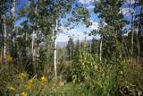 2481 Forest Meadow Rd - Photo 5