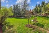 3339 Big Spruce Way - Photo 30