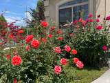 2774 370 - Photo 5