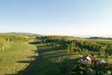 11042 Wild Elk Mdw - Photo 64