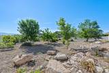 8640 Iron Horse Dr - Photo 42