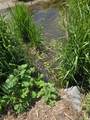 1777 4200 - Photo 32