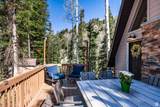 9320 Bobcat Haven Ln - Photo 32