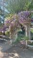 4213 2850 - Photo 34