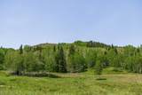 325 White Pine Canyon Rd - Photo 17