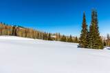 325 White Pine Canyon Rd - Photo 3
