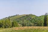 325 White Pine Canyon Rd - Photo 22