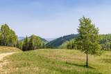 325 White Pine Canyon Rd - Photo 25