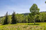 325 White Pine Canyon Rd - Photo 27