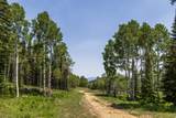 325 White Pine Canyon Rd - Photo 30