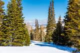325 White Pine Canyon Rd - Photo 4