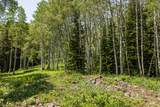 325 White Pine Canyon Rd - Photo 31
