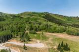 325 White Pine Canyon Rd - Photo 46