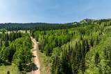 325 White Pine Canyon Rd - Photo 48