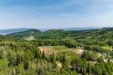 325 White Pine Canyon Rd - Photo 49