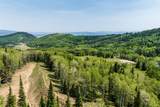325 White Pine Canyon Rd - Photo 50