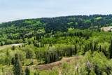 325 White Pine Canyon Rd - Photo 51