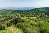 325 White Pine Canyon Rd - Photo 54