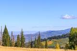 325 White Pine Canyon Rd - Photo 72
