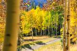 325 White Pine Canyon Rd - Photo 78