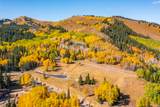 325 White Pine Canyon Rd - Photo 9