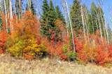 325 White Pine Canyon Rd - Photo 92