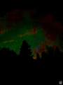  Middle Fork  / Pine Canyon Rd Rd - Photo 23