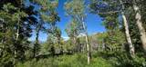 17603 Beaver Mountain Cir - Photo 1