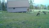 123 Tbd Monroe Canyon Rd - Photo 20