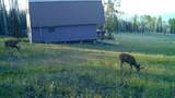 123 Tbd Monroe Canyon Rd - Photo 22