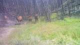 123 Tbd Monroe Canyon Rd - Photo 23