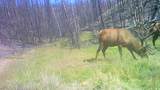 123 Tbd Monroe Canyon Rd - Photo 26