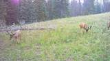 123 Tbd Monroe Canyon Rd - Photo 28