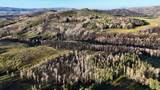 123 Tbd Monroe Canyon Rd - Photo 37