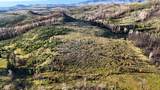 123 Tbd Monroe Canyon Rd - Photo 38