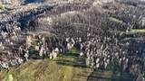 123 Tbd Monroe Canyon Rd - Photo 45