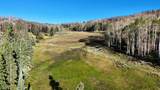 123 Tbd Monroe Canyon Rd - Photo 59