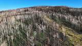 123 Tbd Monroe Canyon Rd - Photo 60