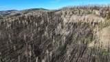 123 Tbd Monroe Canyon Rd - Photo 63