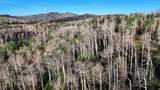 123 Tbd Monroe Canyon Rd - Photo 66