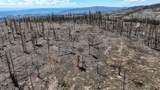 123 Tbd Monroe Canyon Rd - Photo 77