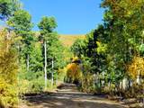 11457 Marigold Ln - Photo 2